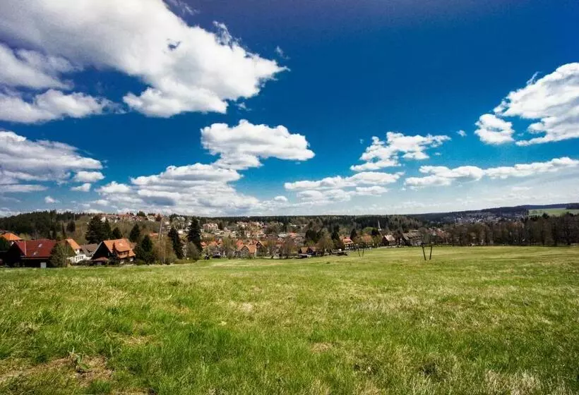 مبيت وإفطار Pension Winkel