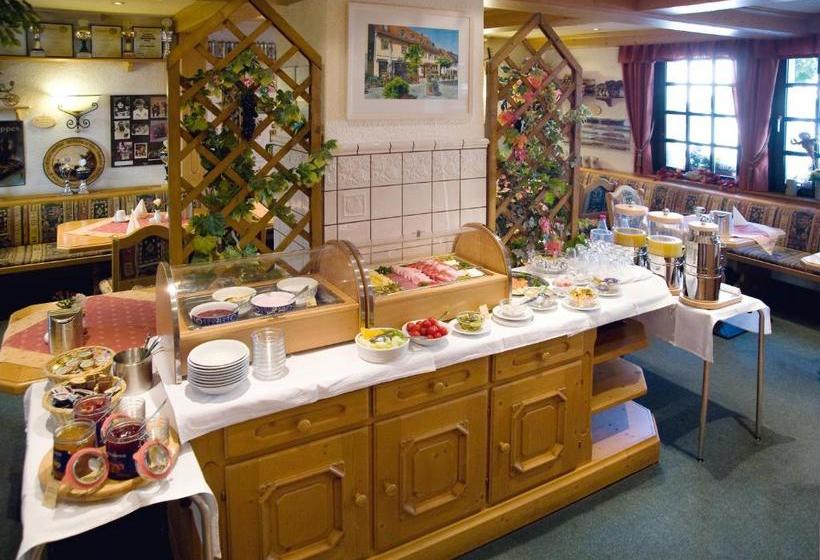 Отель Am Schloss Darmstaedter Hof