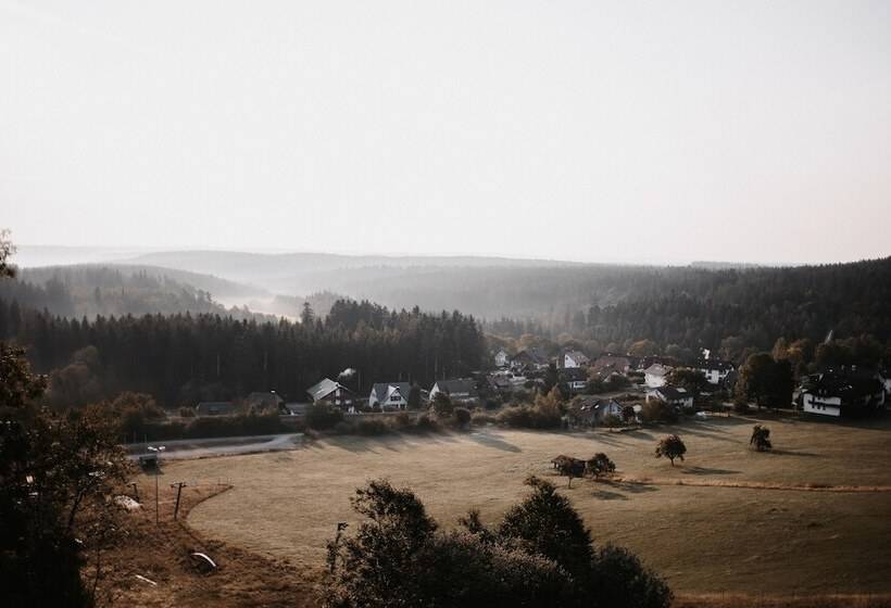 Отель Fritz Lauterbad