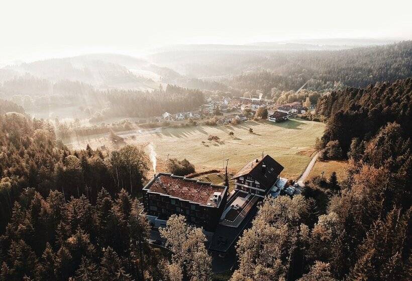 Отель Fritz Lauterbad