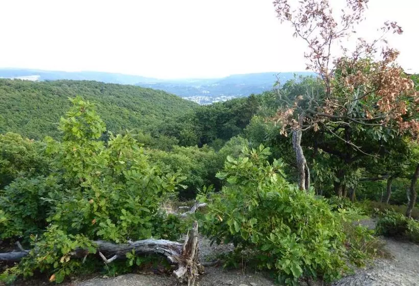 هتل Garni Gunther