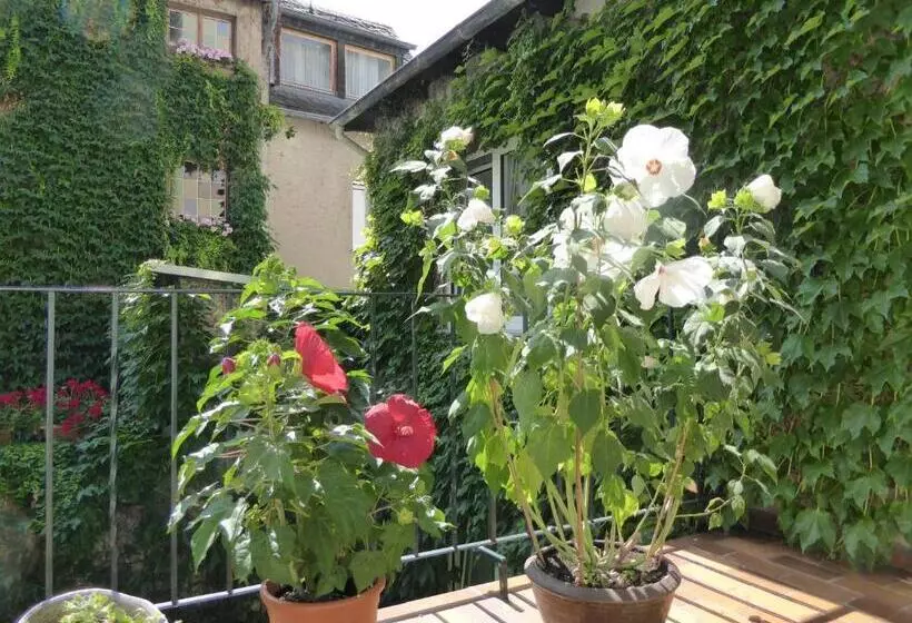 هتل Garni Gunther