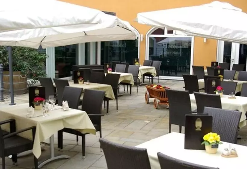 호텔 Goldener Anker