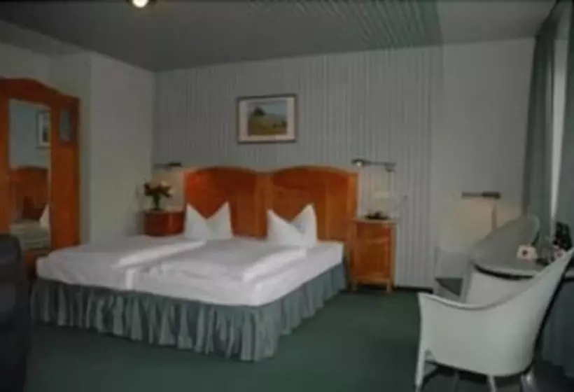 호텔 Goldener Anker