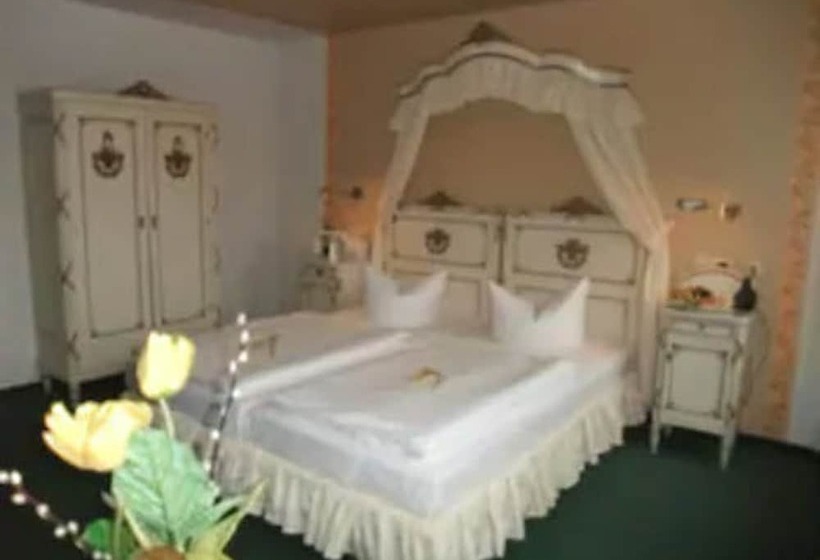 酒店 Goldener Anker