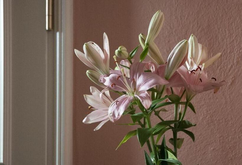 Отель Hajo´s Germania Lodge & Irish Pub