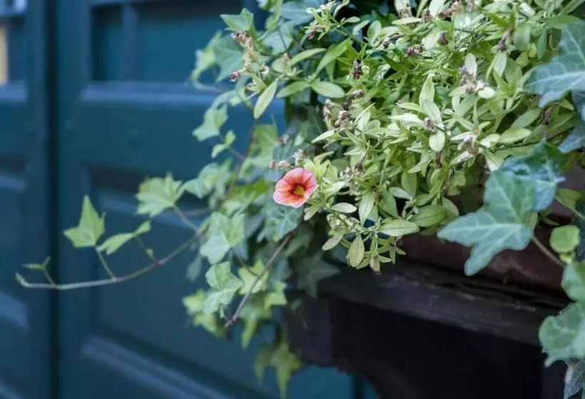 酒店 Hajo´s Germania Lodge & Irish Pub