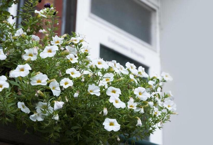 Отель Hajo´s Germania Lodge & Irish Pub