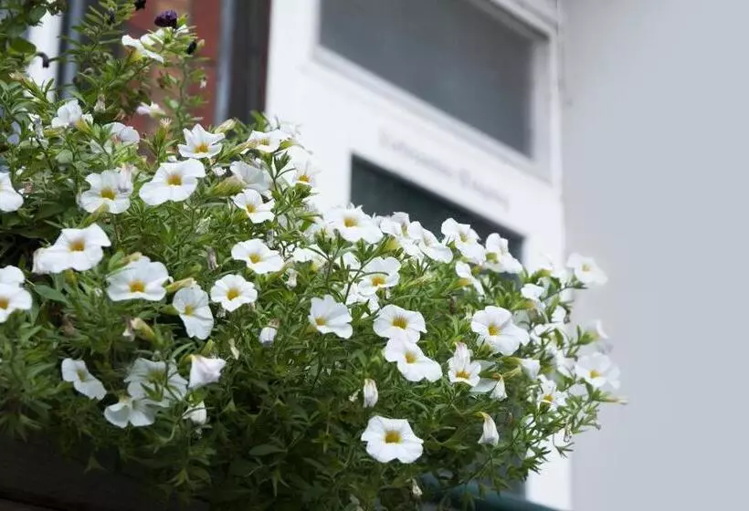 酒店 Hajo´s Germania Lodge & Irish Pub