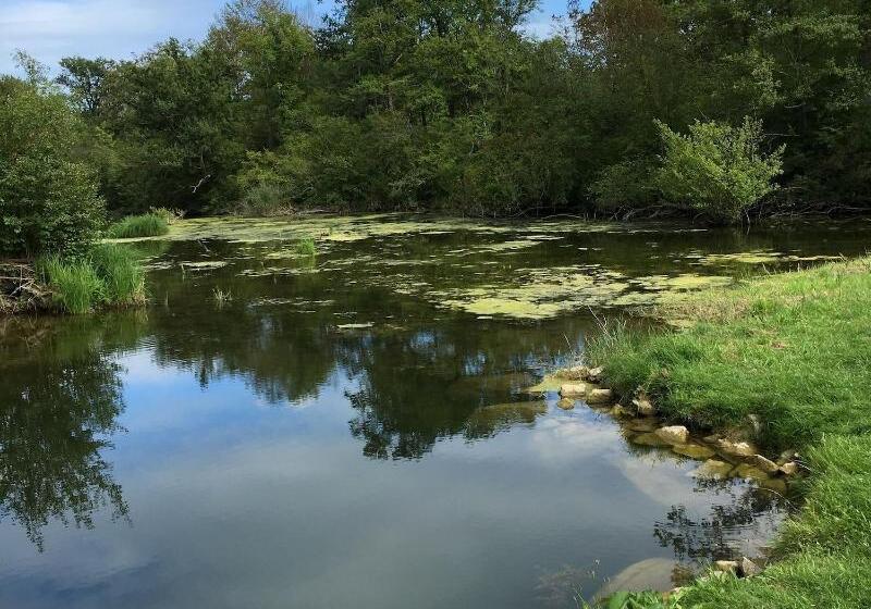 Hotel Lowen Garni  B&b