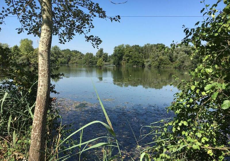 Hotel Lowen Garni  B&b