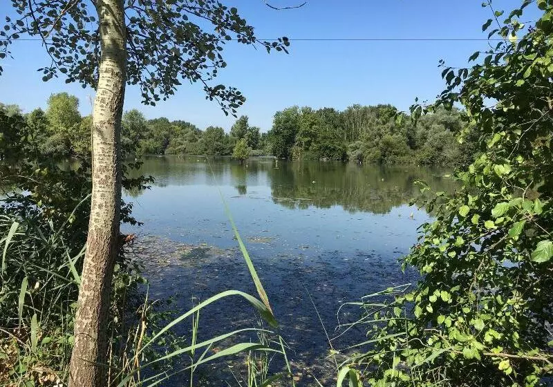 Hotel Lowen Garni B&b