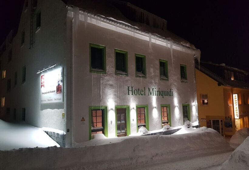 Отель Miriquidi