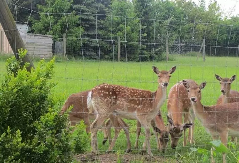Отель Schwartze