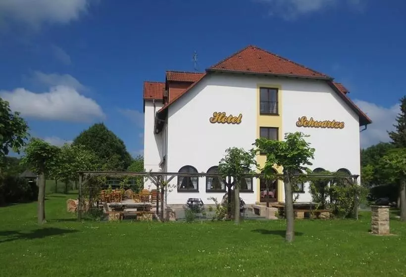 Отель Schwartze