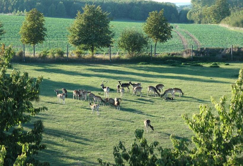 Отель Schwartze