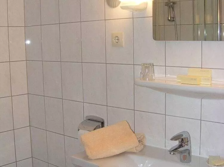 Отель Schwartze