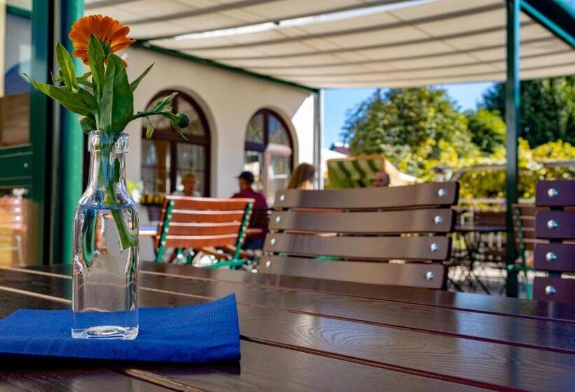 Отель Schwartze