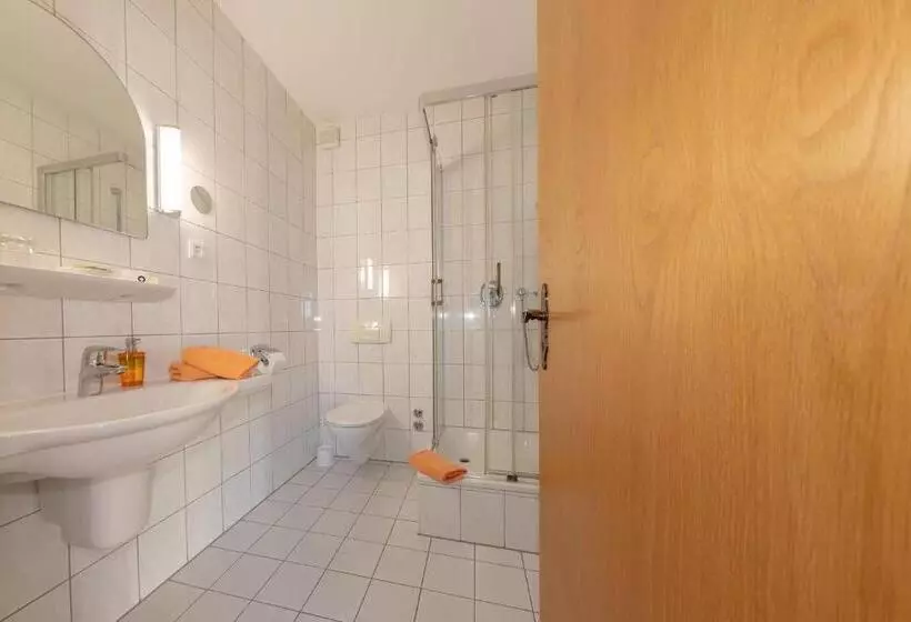 Отель Schwartze