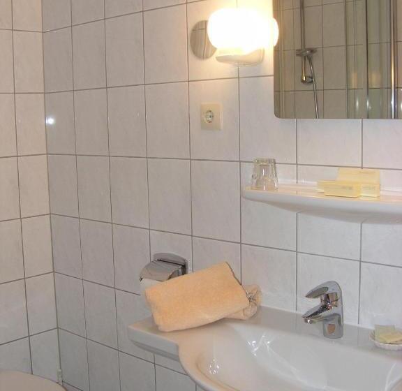 Отель Schwartze