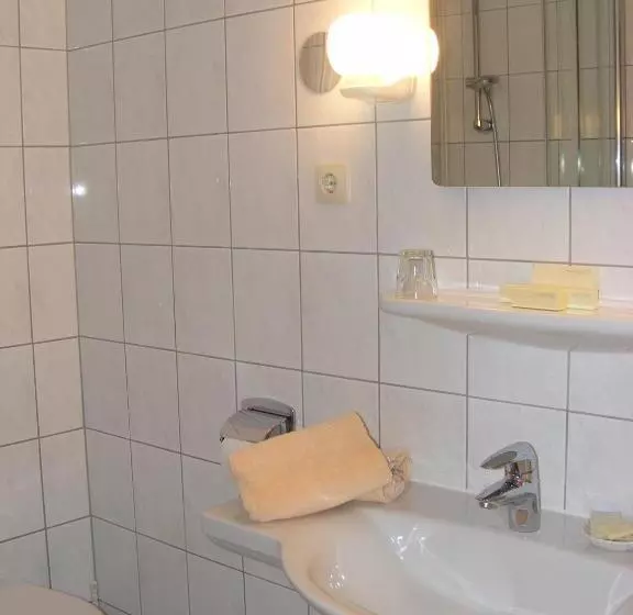 Отель Schwartze