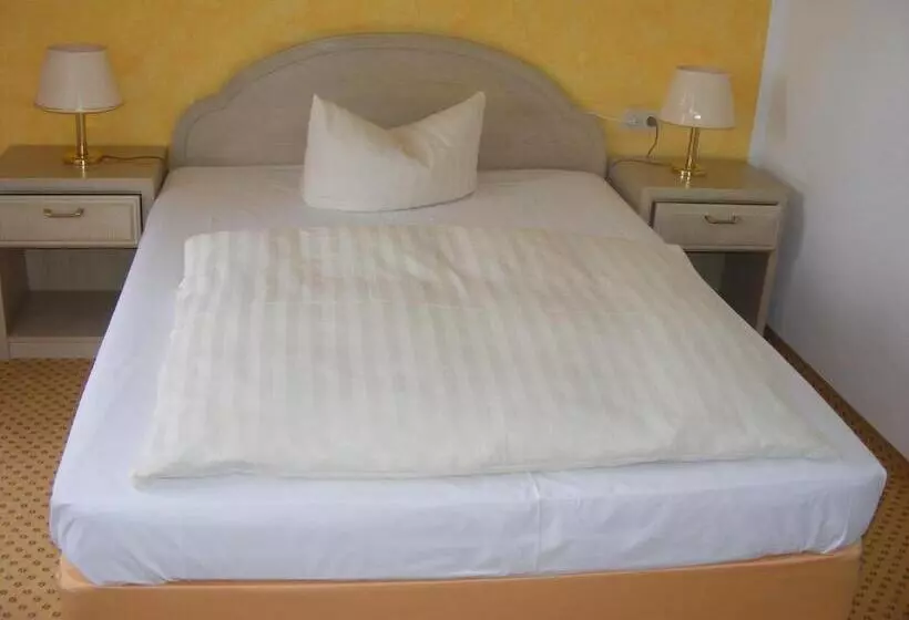 Отель Schwartze