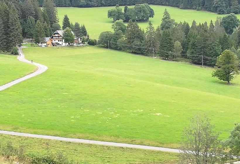 Hotel Schwarzwaldgasthaus Salenhof