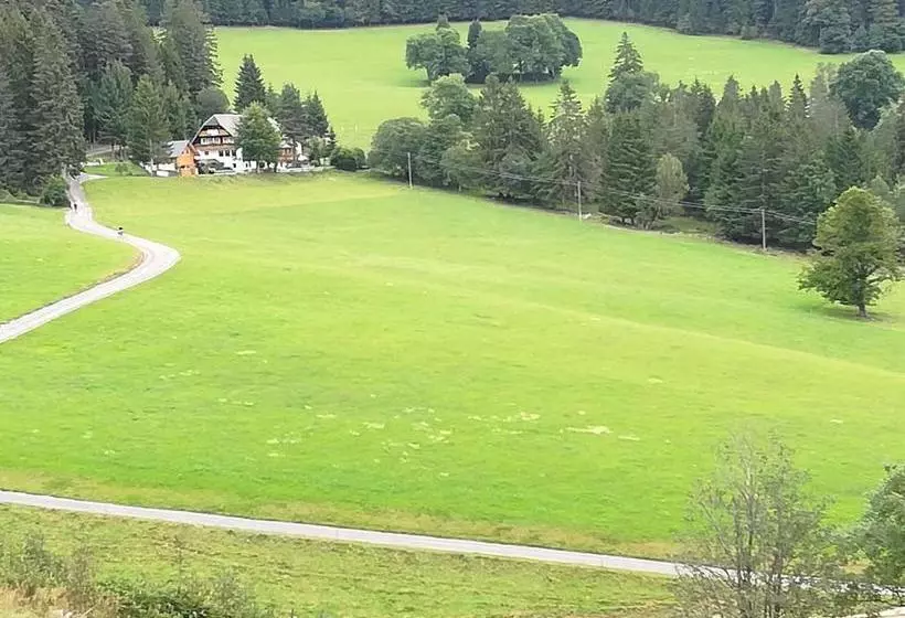 ホテル Schwarzwaldgasthaus Salenhof