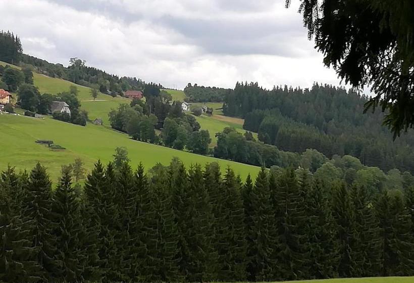 Hotel Schwarzwaldgasthaus Salenhof