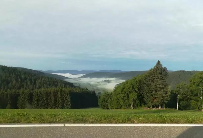 ホテル Schwarzwaldgasthaus Salenhof