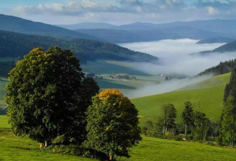 ホテル Schwarzwaldgasthaus Salenhof