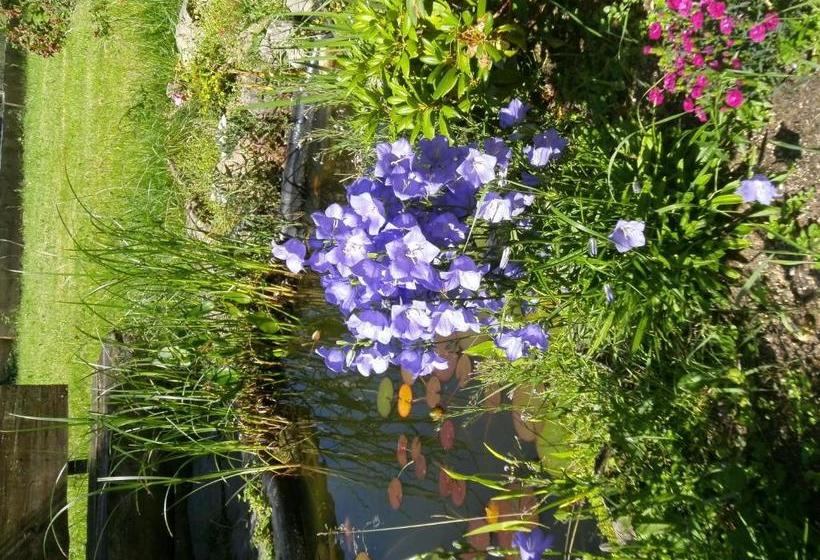 Hotel Schwarzwaldgasthaus Salenhof