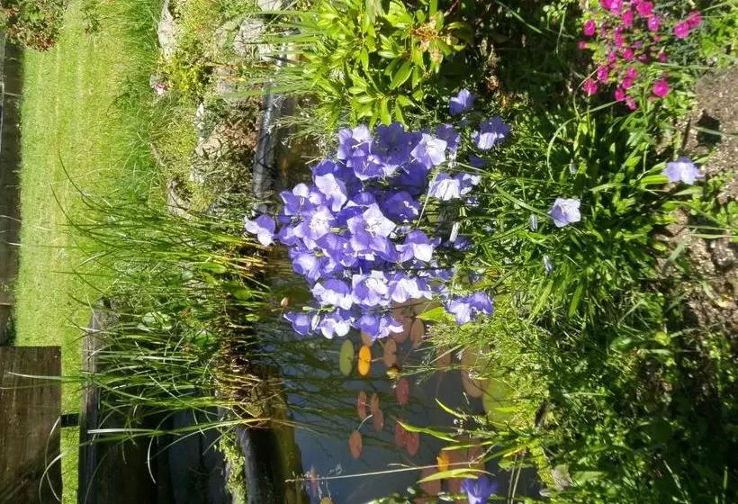 ホテル Schwarzwaldgasthaus Salenhof