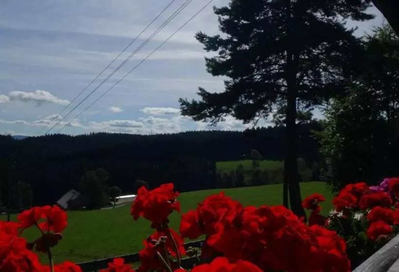 ホテル Schwarzwaldgasthaus Salenhof