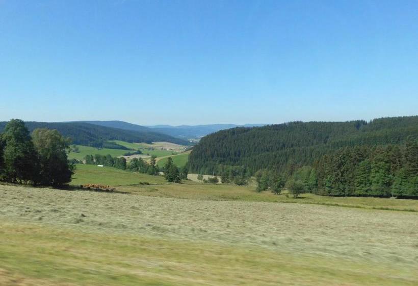 Hotel Schwarzwaldgasthaus Salenhof