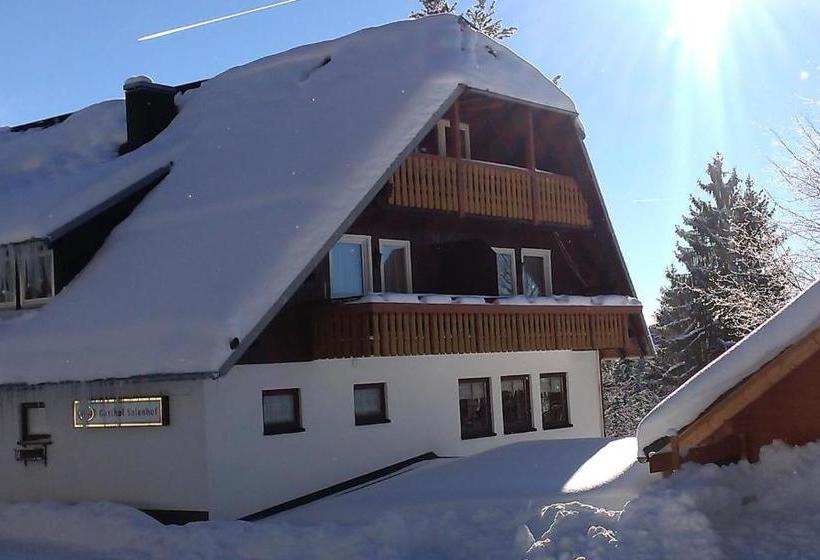Hotel Schwarzwaldgasthaus Salenhof