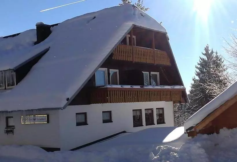 ホテル Schwarzwaldgasthaus Salenhof