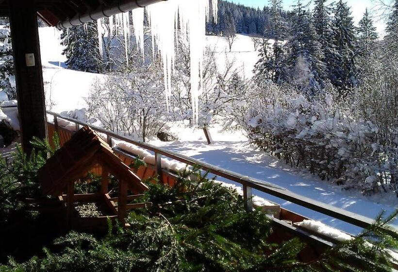 Hotel Schwarzwaldgasthaus Salenhof