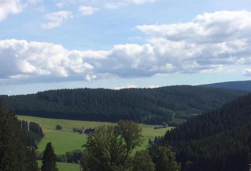 Hotel Schwarzwaldgasthaus Salenhof