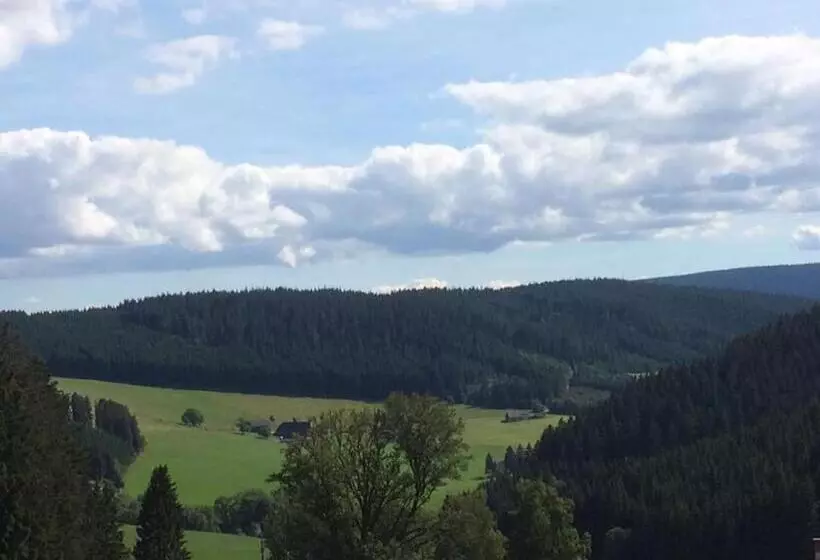 ホテル Schwarzwaldgasthaus Salenhof