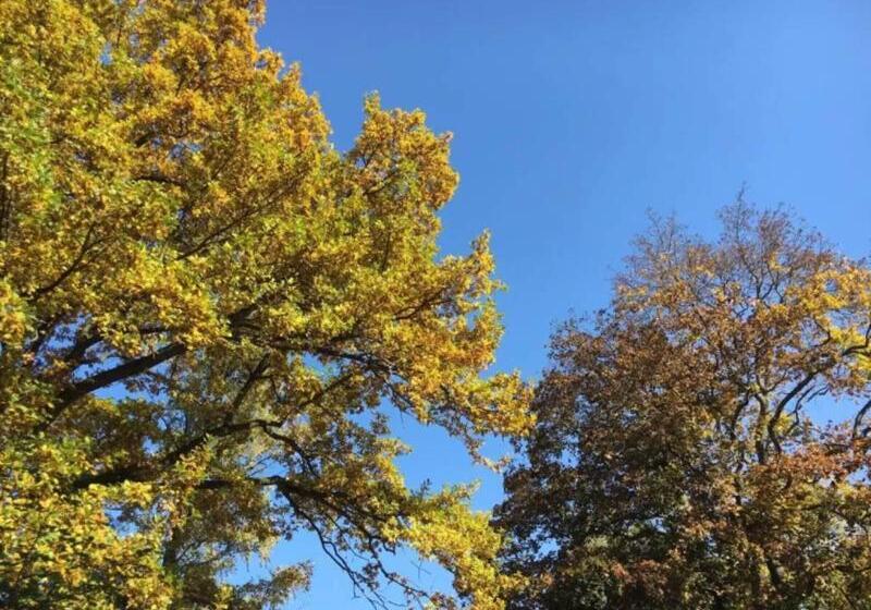 Stadt Gut Hotels   Das Kleine