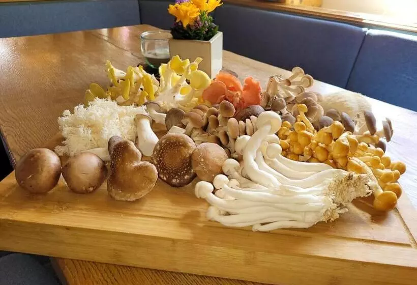 فندق Wittekindsquelle