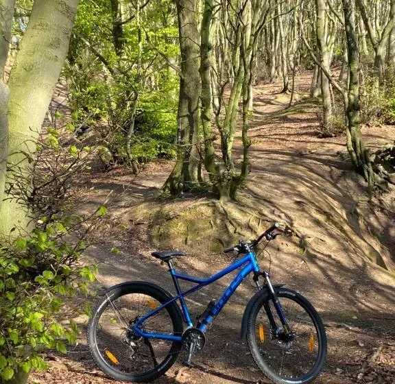 فندق Wittekindsquelle