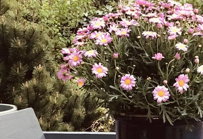 Beans Parc Hotel Jade