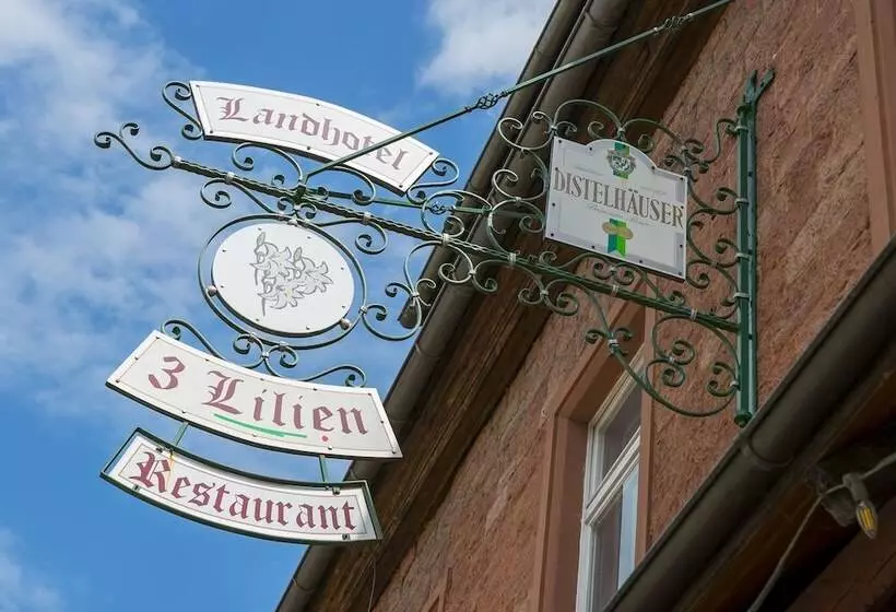Gasthaus & Hotel Drei Lilien
