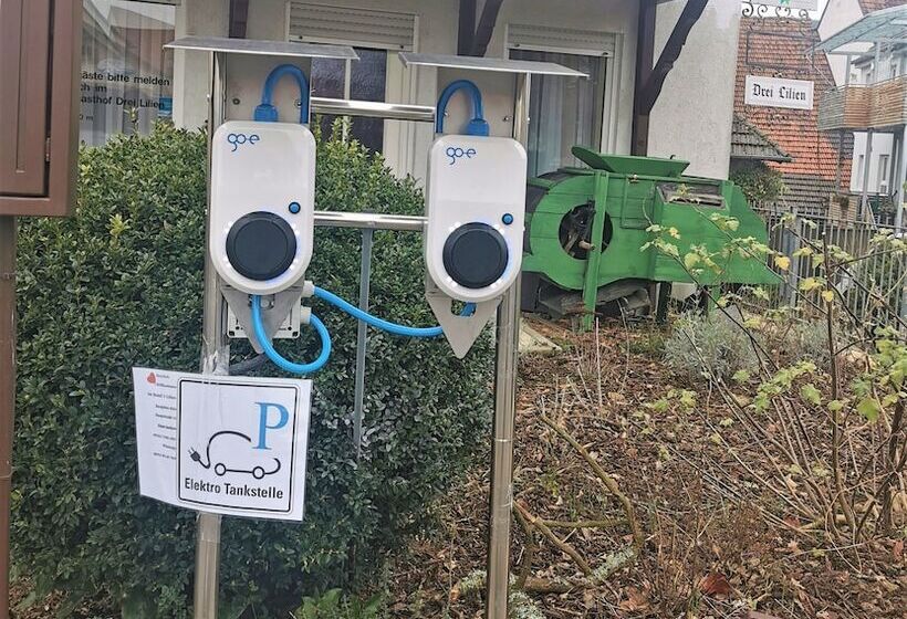 Gasthaus & Hotel Drei Lilien