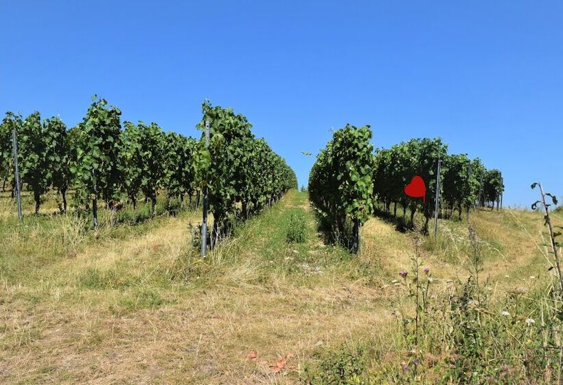 Gasthaus & Hotel Drei Lilien