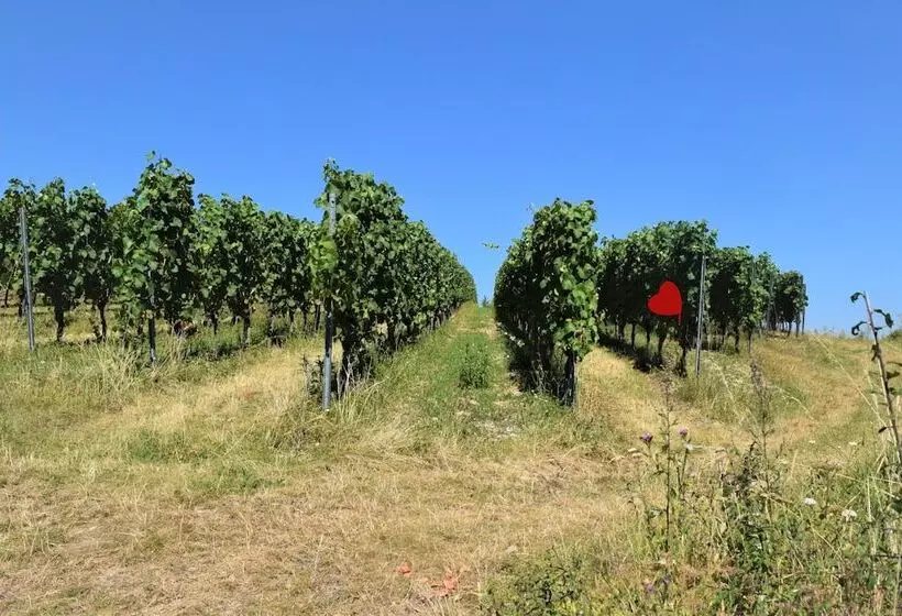 Gasthaus & Hotel Drei Lilien