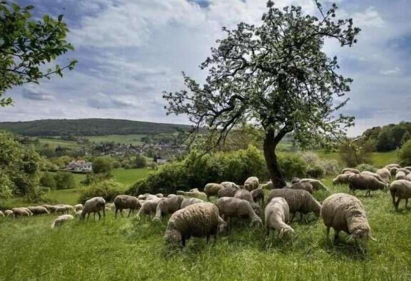 Akzent Hotel Haus Sonnenberg