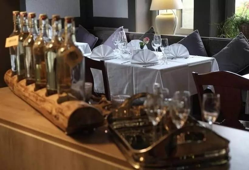 ホテル Brunnenhof International